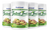 Intestfree Natural Para Saude Intestinal Intest Free